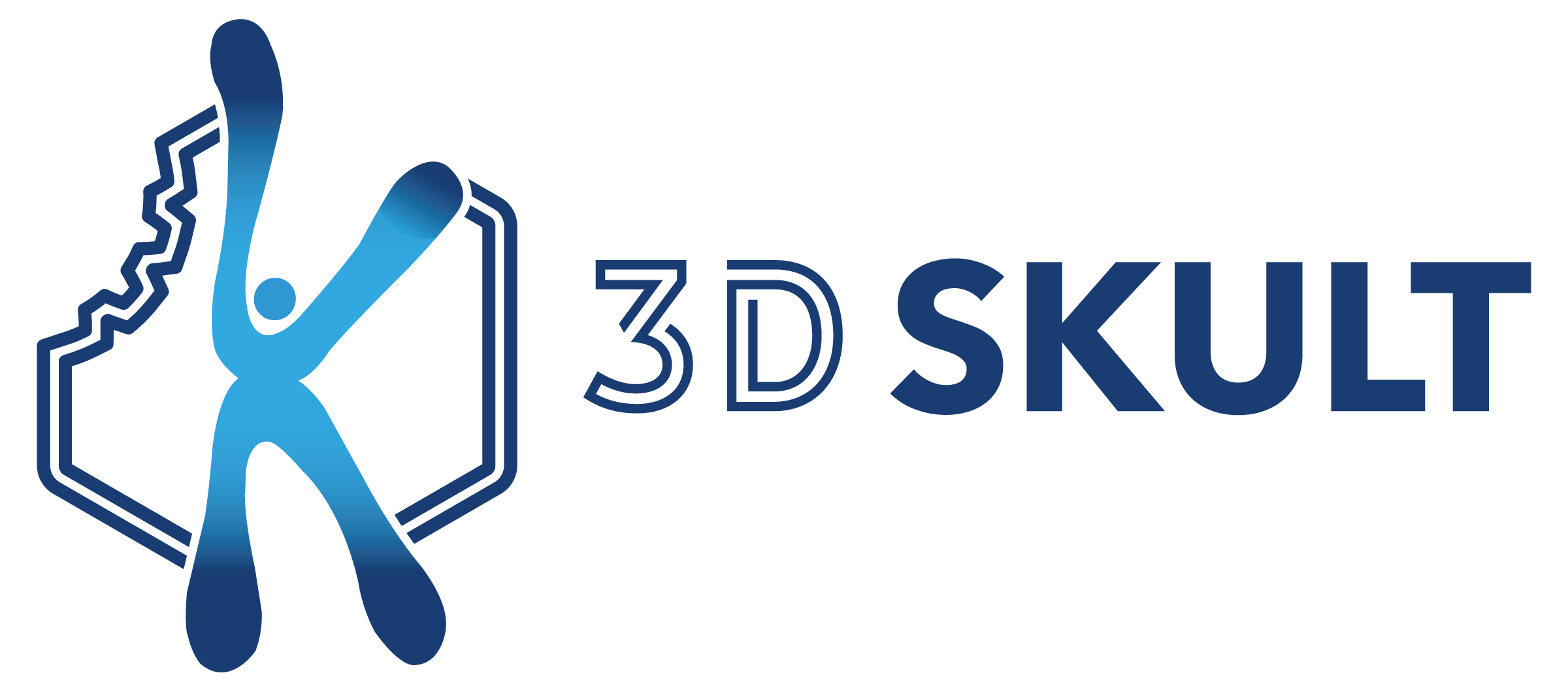 3D SKULT